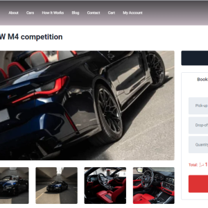 Pro Website